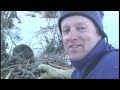 The Beavers - YouTube | Busy beavers working diligently on their beaver house.