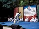 tkd-chung do kwan- Ho Sin Sul