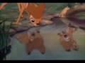 Clips from Cinderella The lion king 2 and Bambi