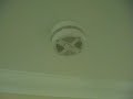 Mains powered smoke alarms