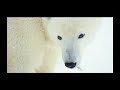 Banff-Mountain-Film-
