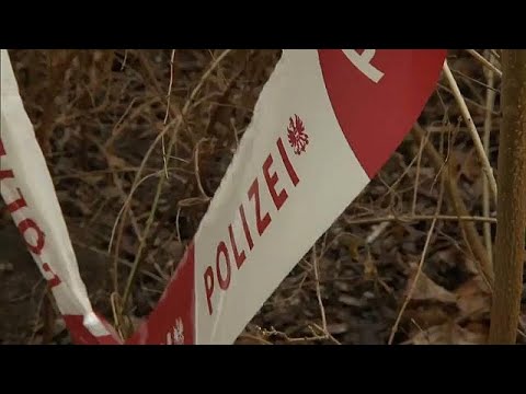 Wien: Messerstecher gesteht, vier Menschen verletzt z ...