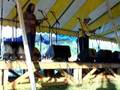 Alan Munde-Festival Favorites