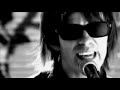 Strays You Are The Evolution Video and Lyrics