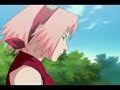 DeiSaku - What dreams are made of