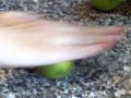 How-to-Make-Lemonade