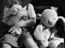 Chanson coeur