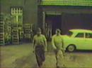 Meerlo anno 1969. Deel 4