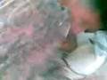 videos de el polvaso de la udo.3gp