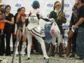 videos de Premio al público - Rei Ayanami