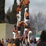 Muntanyola 2008 nº1