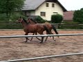 Bonni O� Juli 2008 Teil 2