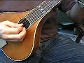 Peerless Mandola, 1920s Peerless Mandola, 1920s