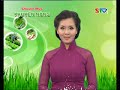 Một Số Giống Mía Mới