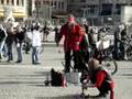 crazy street performer AMSTERDAM