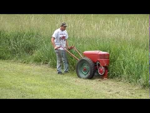 david bradley tractor - I thought my GTTalk pals might get a kick out of this