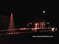 Chirstmas lights Wild