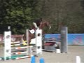 tourgeville 4 ans : quarnac du mesnil