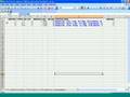 EPSDT - PIP Training Webinar 7/30/08