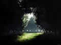 Jacobe - Dreamscape