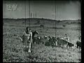 Casa No Campo - Clip 1972