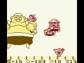 Wario Land Final