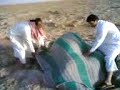 بئر غريب