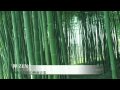 ����Ĺëͺ�αǲ費�ڡ��� ZEN��:YouTube������=2,046��