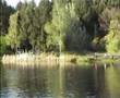 Đakovačko jezero Borovik