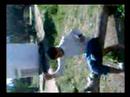 YOUGA TAMARISS 2008