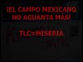México: ¡NO TLC!