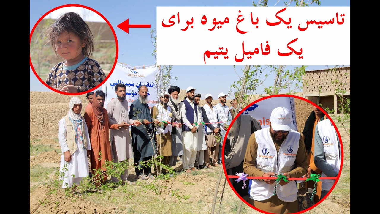 Garden Completed for an orphan family in dehsubz kabul / د کابل په ده سبز ولسوالۍ کې د یتمانو کورنی