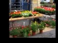 Monsegur, Fete des Fleurs