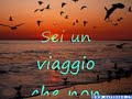 L'amore-Sonhora