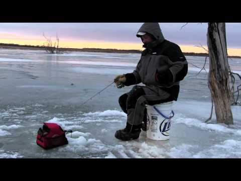 how to locate perch ice fishing