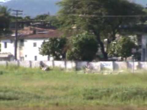 Imagem de Amostra do You Tube