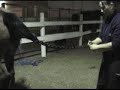 How To Put Up A Tail