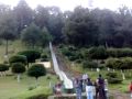 EL POTRERO