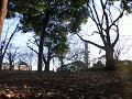 slackline スラックライン