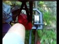 V�lorail, arriv�e