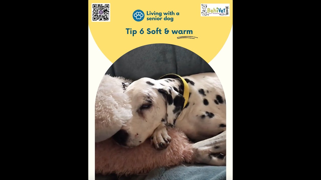 TIP 6 – Soft & warm