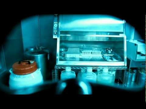 Image de prévisualisation YouTube