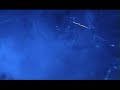 Conscious Collective - 