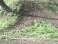 Derek Howerton on his pitbike track