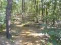 videos de MTB-routes 2008