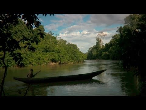 Uncontacted Tribes - A plane flies over an uncontacted tribe. What would have happened if it had landed? A short documentary about the effects of first contact on the tribes of B...