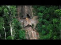 Stranger in the Forest: First Contact in the Amazon
