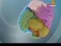 [1] El Cerebro - Parte 2 de 5 -