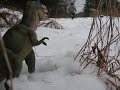 Attaque de dinosaure