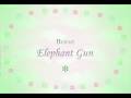 Beirut - Elephant Gun ( Lyrics )